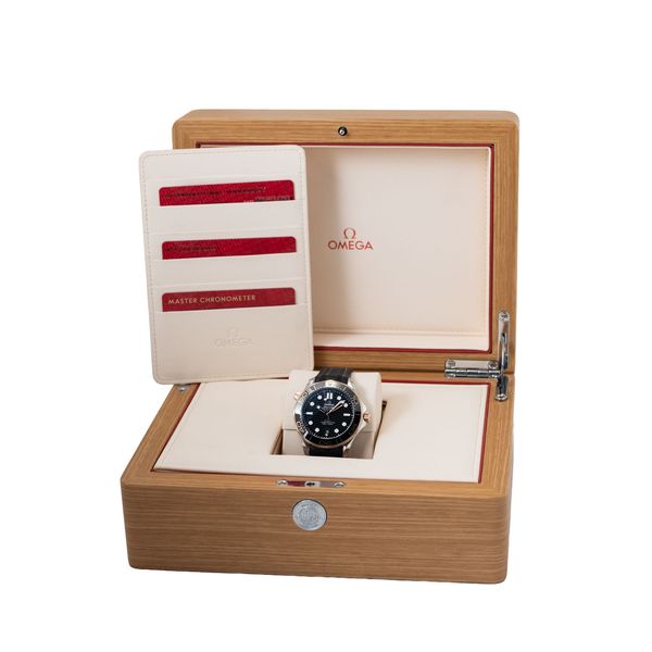 Omega Seamaster Diver 300m 210.22.42.20.01.002